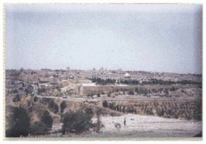 The Cemetery on the Mount of Olives